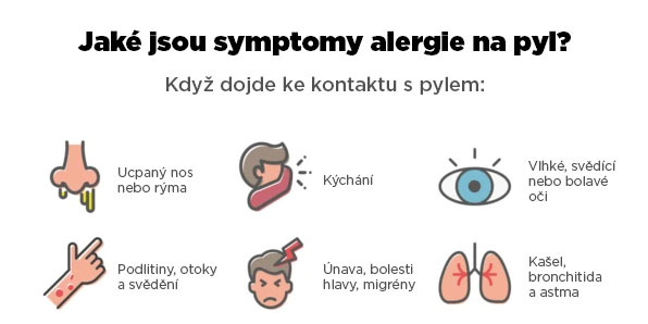 jake jsou symptomy alergie na pyl brainmarket infografika CZ